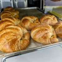 Ms Donuts ico