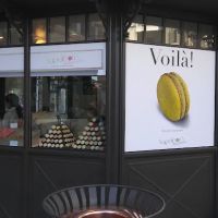 Napoleon's Macarons ico