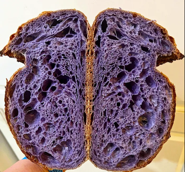 6100 Bread Picture 8