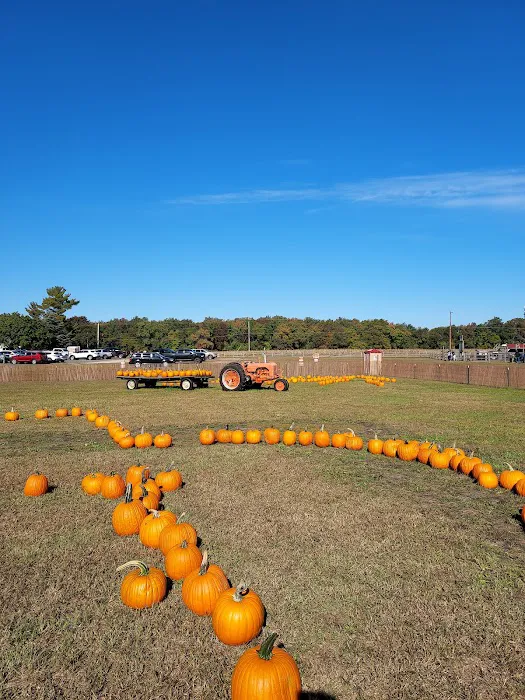 Emery's Farm Picture 9