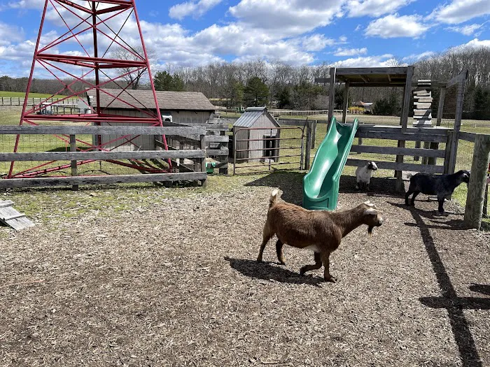 Emery's Farm Picture 4