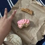Tlaxcala Bakery Panaderia