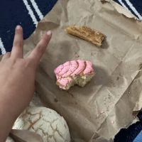 Tlaxcala Bakery Panaderia ico
