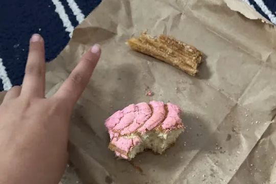 Tlaxcala Bakery Panaderia