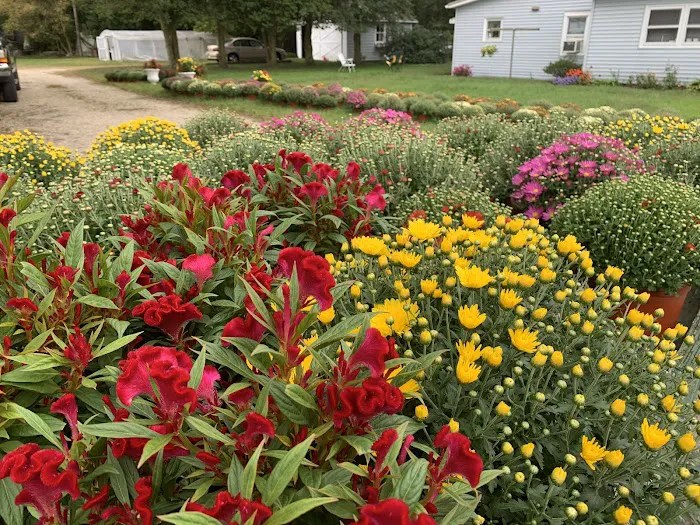 Stellitano Farm Picture 6