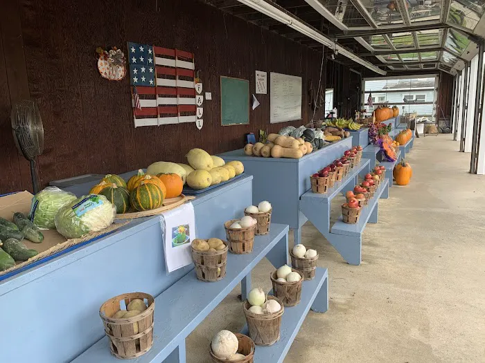 Stellitano Farm Picture 4