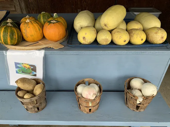 Stellitano Farm Picture 3