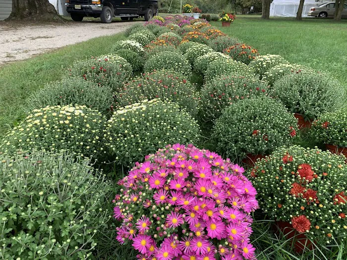 Stellitano Farm Picture 9
