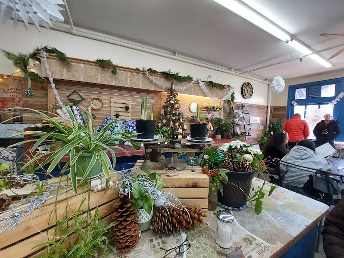 HoopHouse Bakery & Café Picture 5