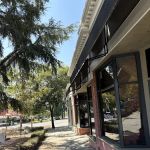 Sugarbird Sweets Cafe - Montrose