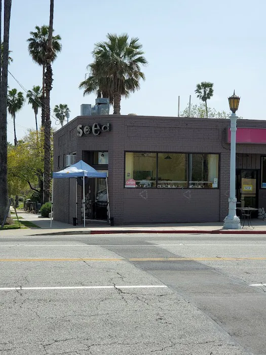 Seed Bakery Picture 5