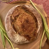Sourbro Baked Goods ico