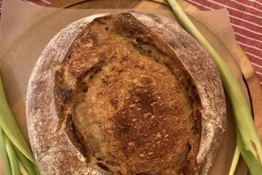 Sourbro Baked Goods