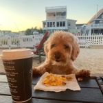 Bagels & Beyond
