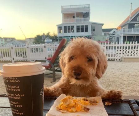 Bagels & Beyond