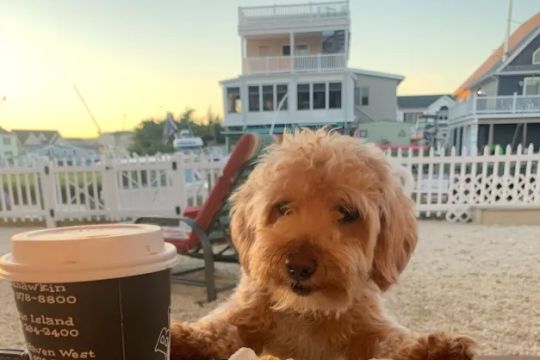 Bagels & Beyond