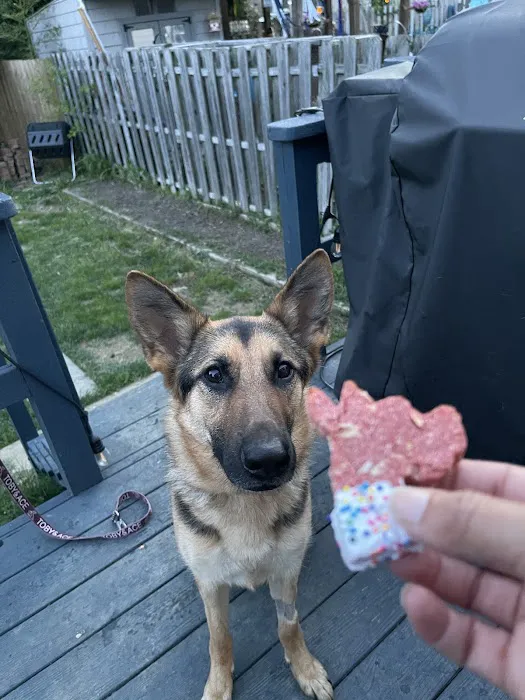 Taste of Comfort - Natural Organic Doggie Treats Picture 1