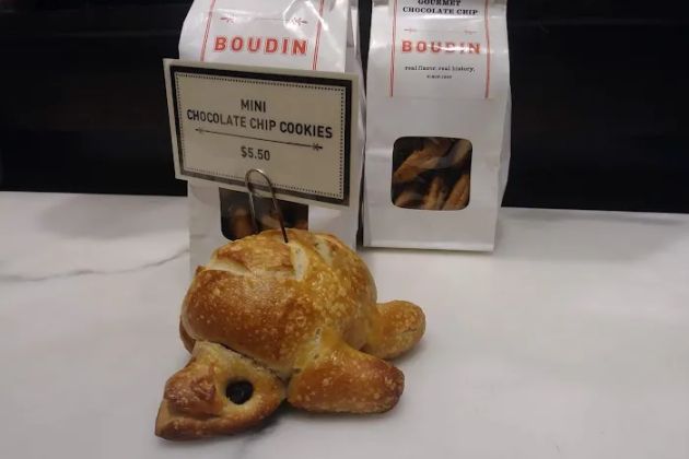 Boudin SF