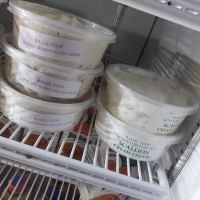 Bagel Stop ico