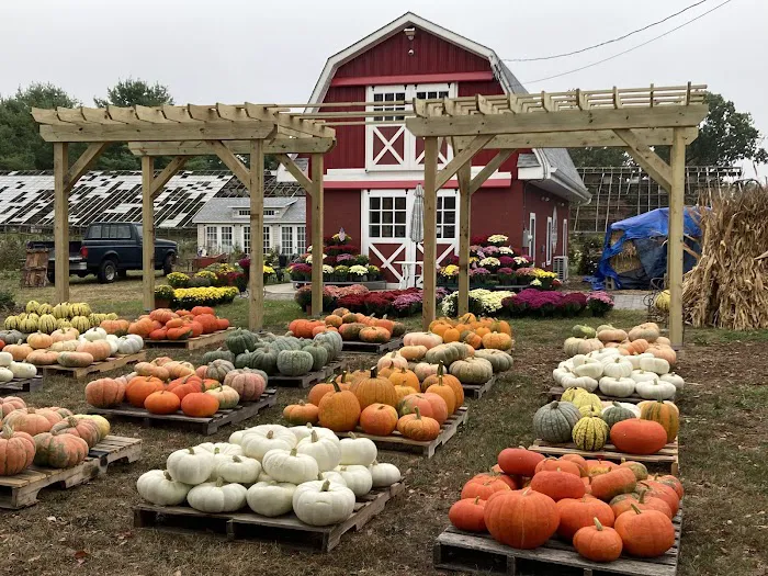 Glasshouse Market Picture 1