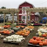 Glasshouse Market