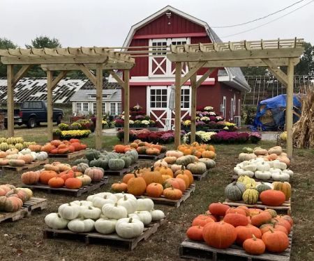 Glasshouse Market