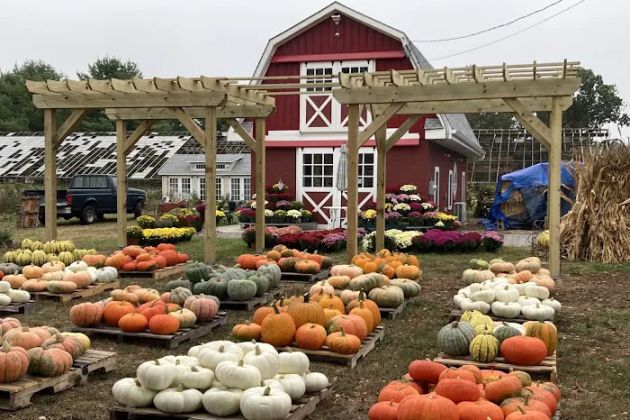 Glasshouse Market