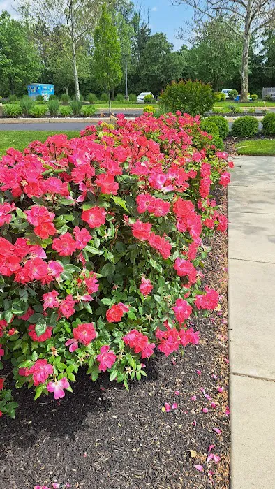 Philly Pretzel Factory Picture 2