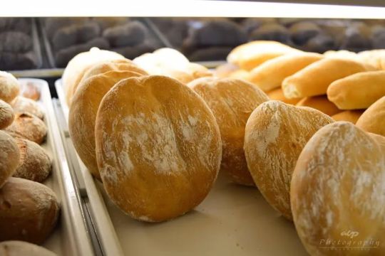Panaderia Fuente Del Buen Gusto