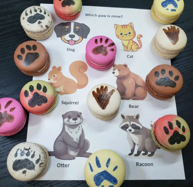 Kat's Macarons Picture 7