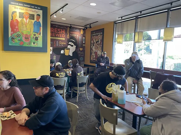 Einstein Bros. Bagels Picture 7