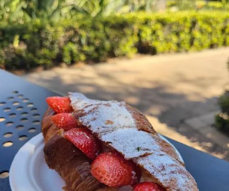 Paris Baguette