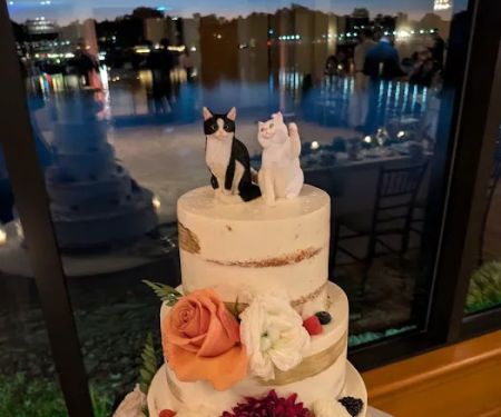 The Caketeria