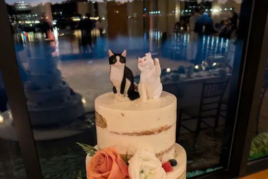 The Caketeria