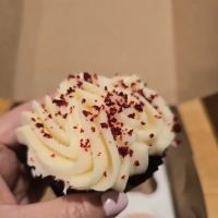 Yummy Cupcakes ico