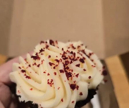 Yummy Cupcakes
