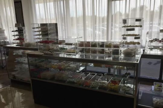 Cannon's Cake & Candy Supplies