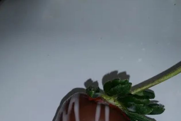 Leonardo's Italian Bakery
