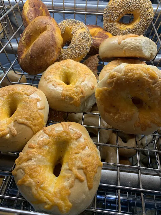 Bagel 1 Picture 10