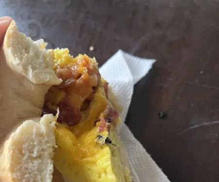 Clearwater Bagel