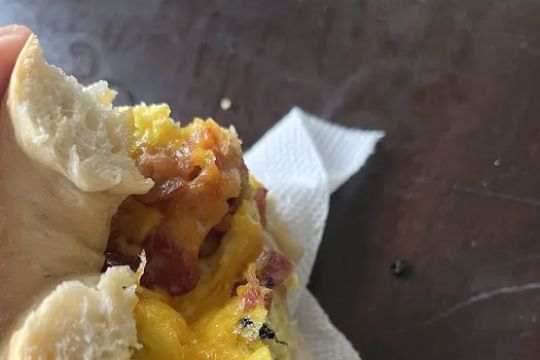 Clearwater Bagel