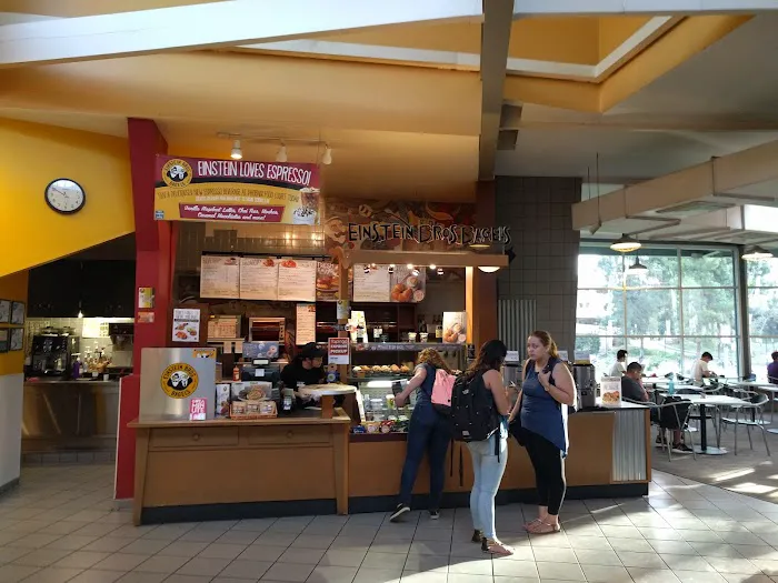 Einstein Bros. Bagels Picture 8