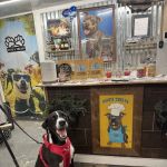 Pete's Treats K9 Bakery & Boutique