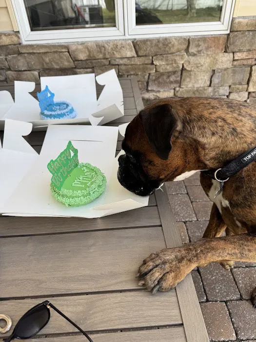 Pete's Treats K9 Bakery & Boutique Picture 8