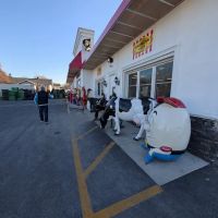 Del Buono’s Bakery and Carmen’s Deli ico