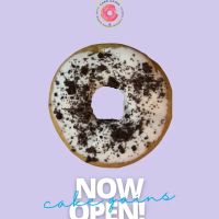 Cake Gains ico
