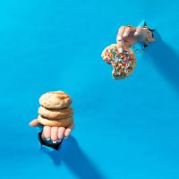 Cookie Lab OC ico
