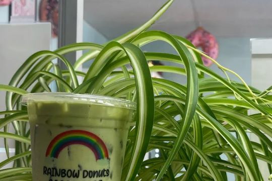 Rainbow Donuts