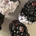 Ni Ni Bakery 貴夫人