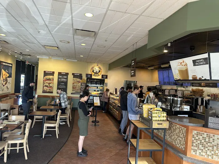 Einstein Bros. Bagels Picture 10